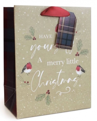 Gift Bag Christmas Kraft Text Large ( 26 x 32 x 12cm)