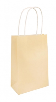Ivory Paper Party Bag With Handles 14 x 21 x 7cm