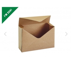 Envelope Boxes Lined Sage Kraft X 10