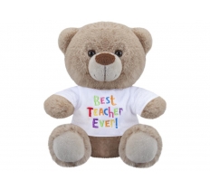 Best Teacher Bear 8"