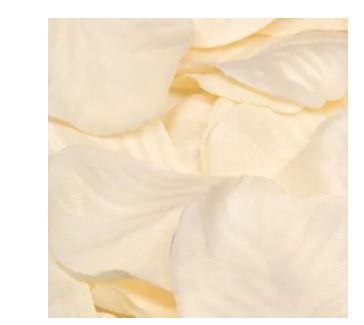 Eleganza Rose Petals - Cream 164Pcs