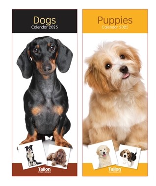 2025 Calendar Super Slim Dogs and Puppies