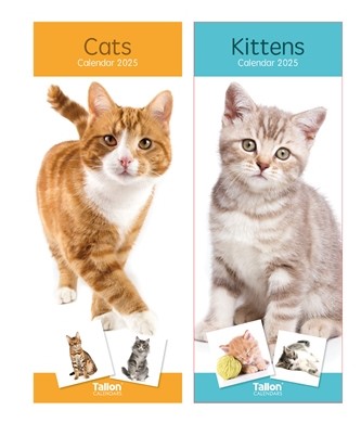 2025 Calendar Super Slim Cats & Kittens